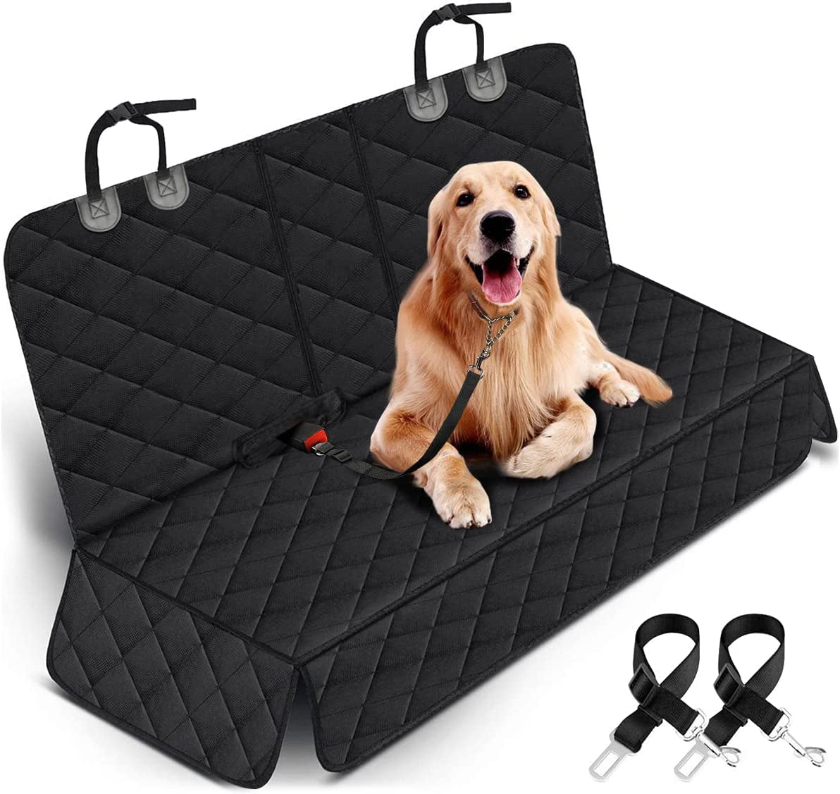 SafePaws