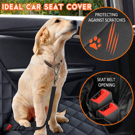 SafePaws 
