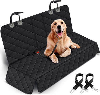 SafePaws 